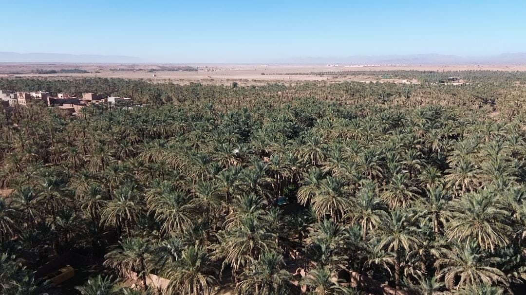 Where to Stay in Zagora Morocco: The Complete 2026 Accommodation Guide