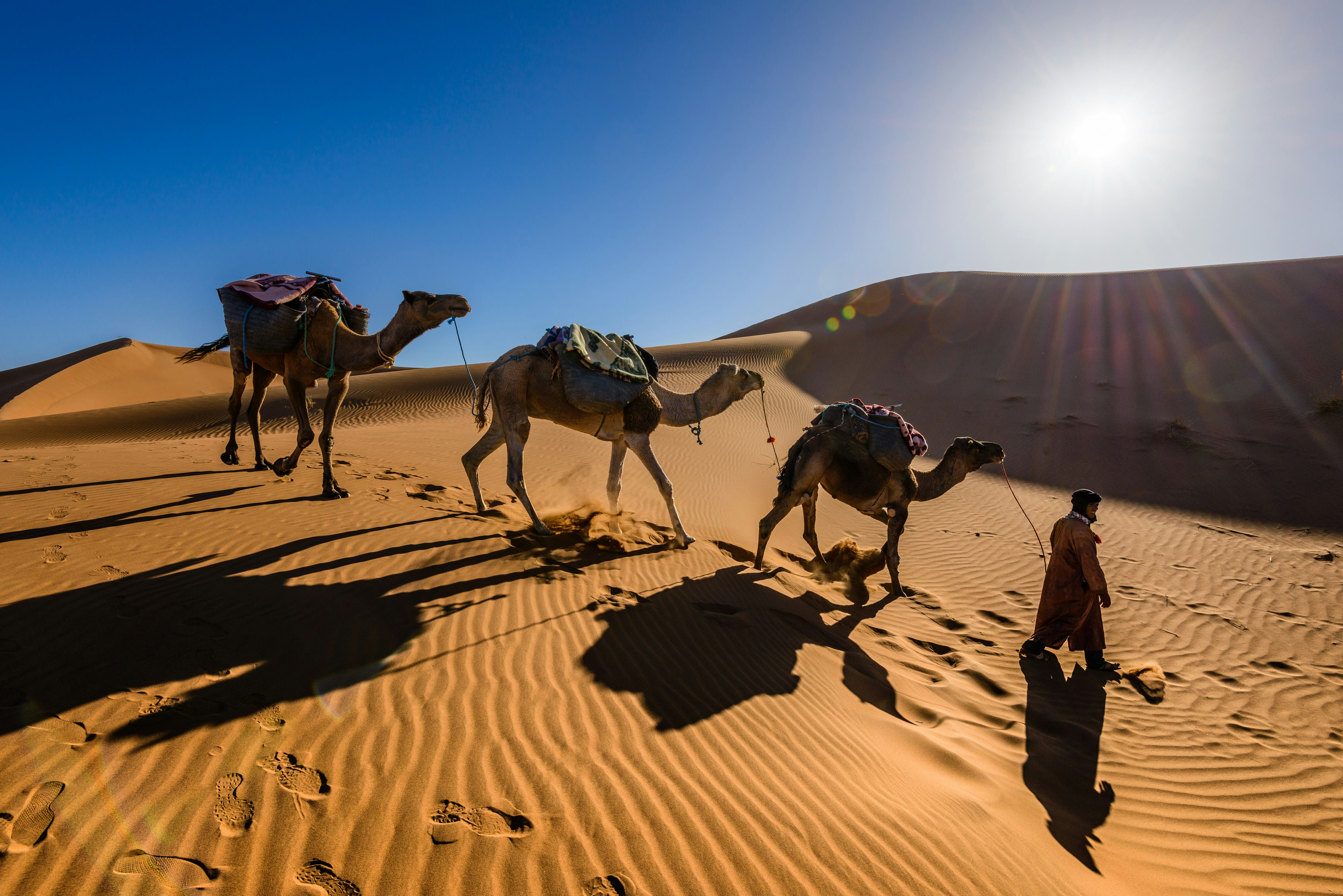 Camel Trekking - Image