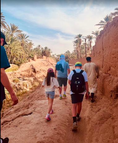 Palm Grove Walk